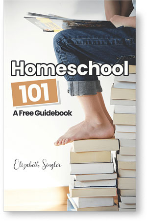 Free How to Start Homeschooling Guidebook